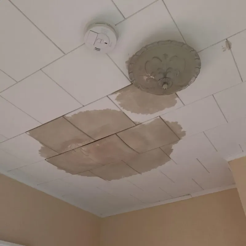 Ceiling Water Damage Repair in Rothsville, PA