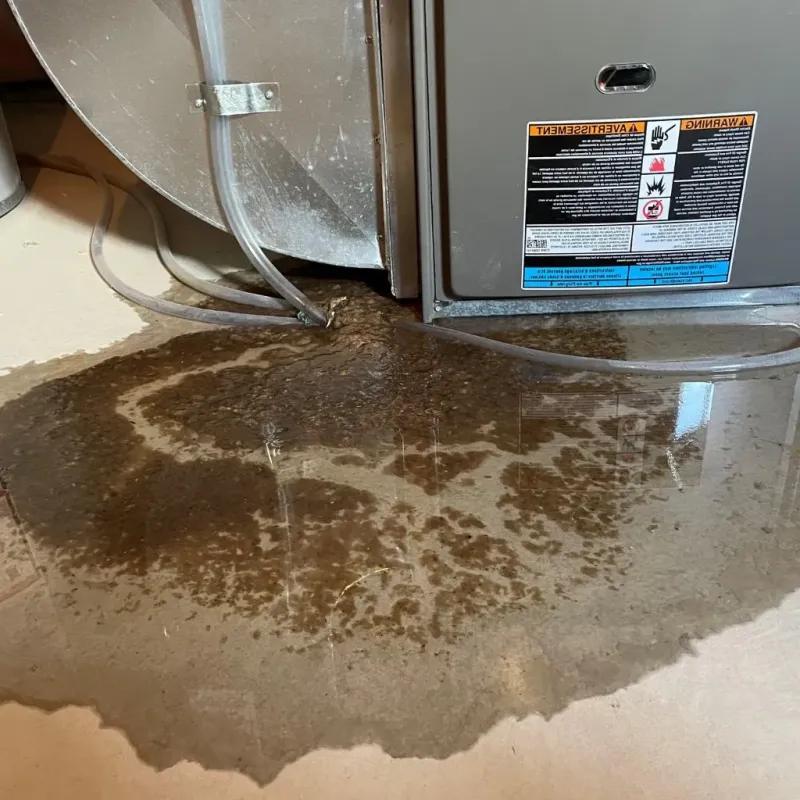 Pipe Burst and Leak Restoration in Rothsville, PA