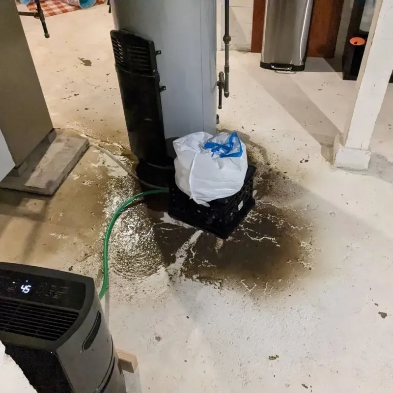 Sewage Backup Cleanup Service in Rothsville, PA